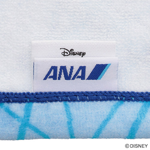 ANA���S�^�O�����A�b�v