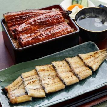 �y�X�y�V�����Z���N�V�����z���������Y ������V������2���E���Ă�1���Z�b�g�y�󒍒��ߐ؂���F2026/4/2�z