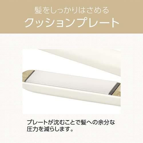 ������������͂��߂�N�b�V�����v���[�g