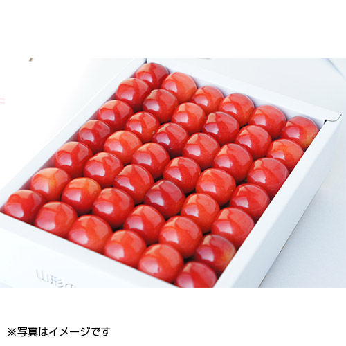 �����R�ʎ����������ы��l�ߏG�iL��1kg�y�󒍒��ߐ؂���F2026/6/20�z