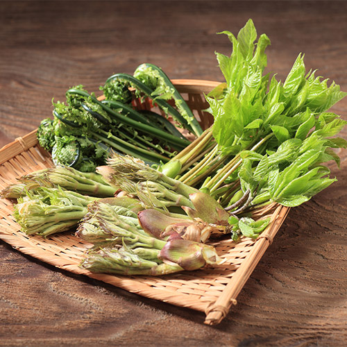 �Z�b�g���e�C���[�W