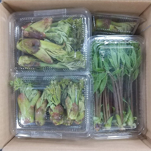 ���͂��C���[�W