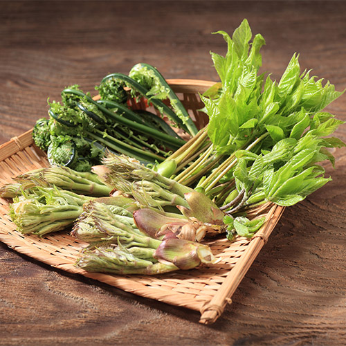 �Z�b�g���e�C���[�W