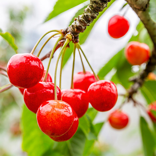 ����C���[�W