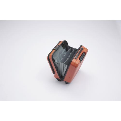 �c�J���̃��C���C��