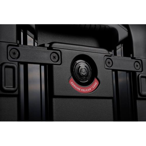 �����C�������o���u