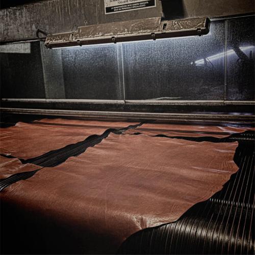 MB Pellami s.r.l�Ђ̎ʐ^