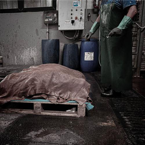 MB Pellami s.r.l�Ђ̎ʐ^