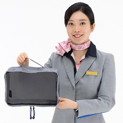 Traveler �I�[�K�i�C�U�[�P�[�X CA�莝���C���[�W