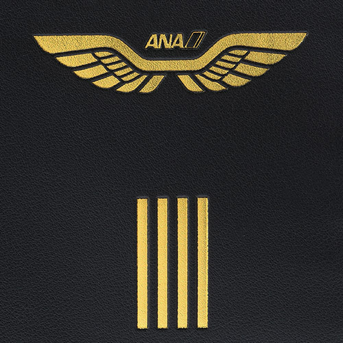 �f�U�C���A�b�v