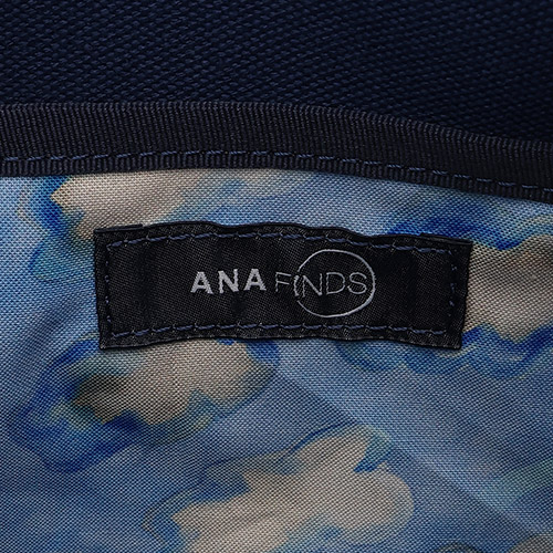 ANA���S�^�O�����A�b�v