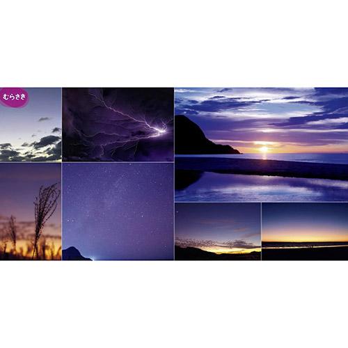 �ނ炳���̃y�[�W