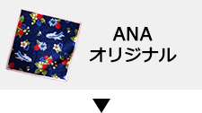 ANAIWi