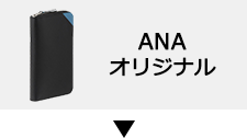 ANAIWi
