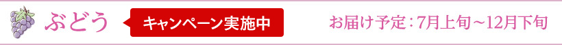 Ԃǂ Ly[{ ͂\F7{`12{