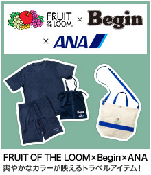 FRUIT OF THE LOOM ~ Begin ~ ANA