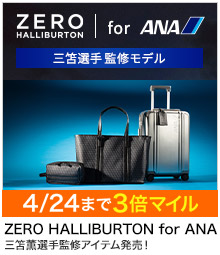 ZERO HALLIBURTON for ANA O☑IďCf