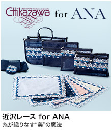 ߑ򃌁[X for ANA for ANA