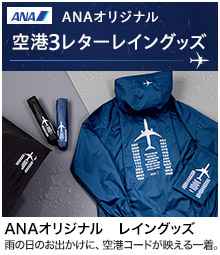 ANA�I���W�i���@��`3���^�[���C���O�b�Y