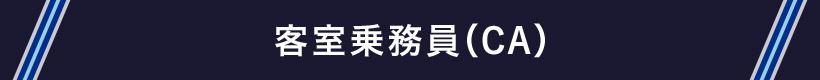 q斱iCAj