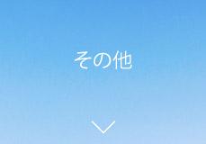̑