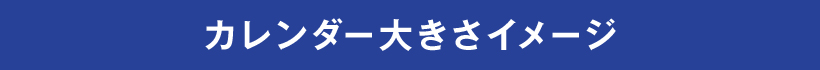 J_[傫C[W