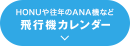 HONU≝NANA@Ȃ s@J_[