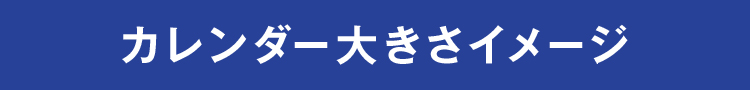J_[傫C[W