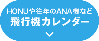 HONU≝NANA@Ȃ s@J_[