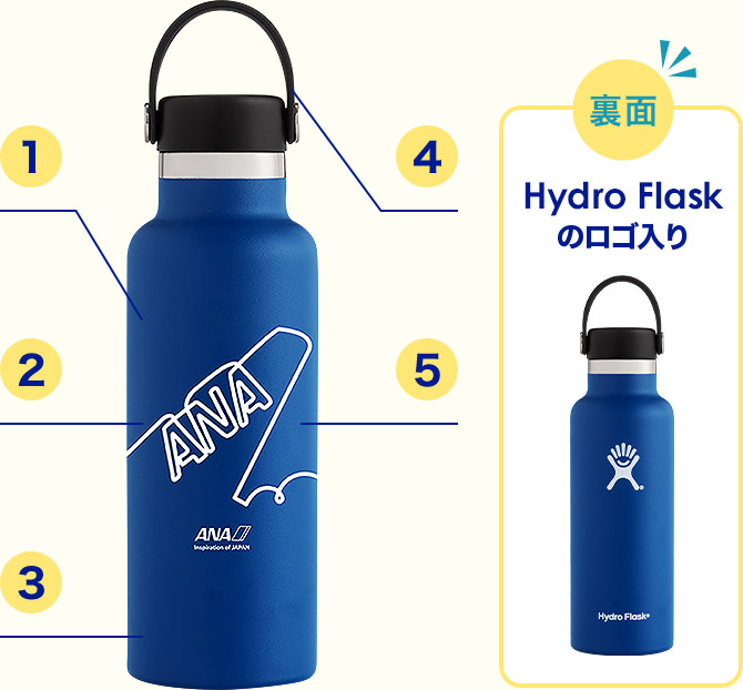  Hydro Flask̃S