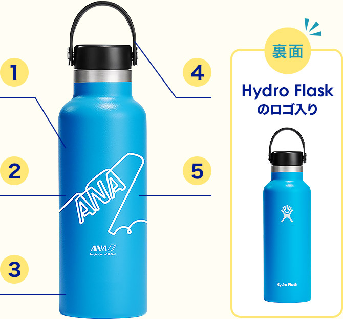  Hydro Flask̃S