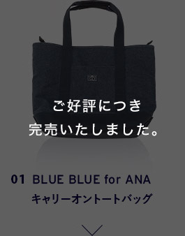 01 BLUE BLUE for ANA キャリーオントートバッグ