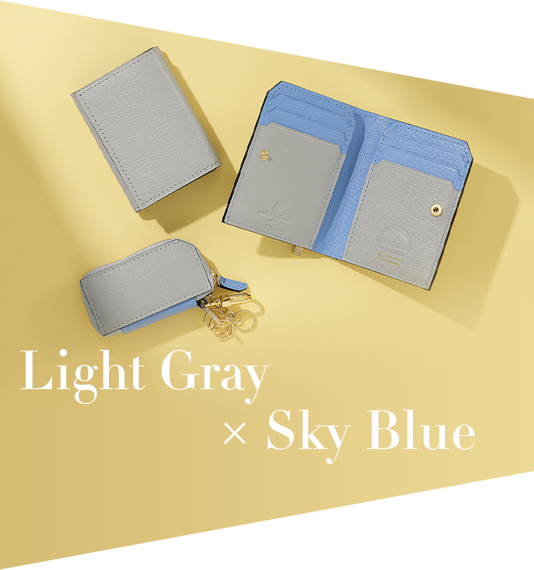 Light Gray × Sky Blue