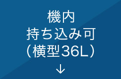 �@���������݉i���^36L�j