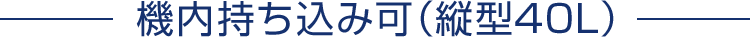 機内持ち込み可(縦型40L)