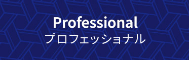 Professional vtFbVi