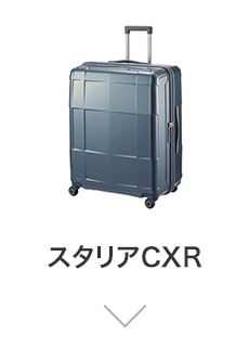 �X�^���ACXR