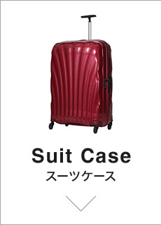 Suit Case X[cP[X