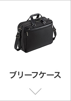 �u���[�t�P�[�X