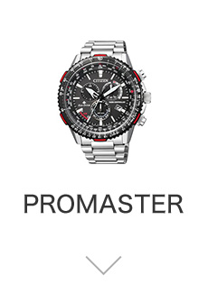 PROMASTER