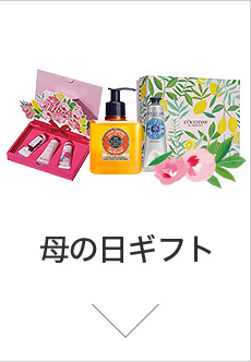 ̓Mtg
