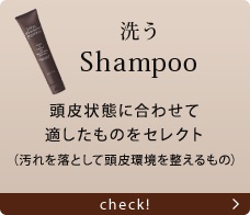  Shampoo Ԃɍ킹ēK̂ZNgi𗎂Ƃē𐮂́j