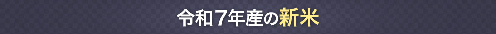 ߘa7NY̐V