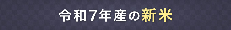 ߘa7NY̐V