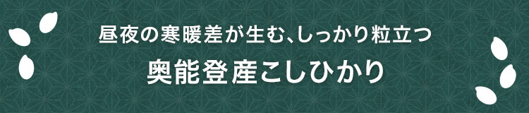 ����̊��g�������ށA�������藱���� ���\�o�Y�����Ђ���