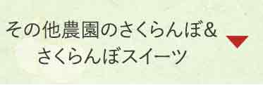 ̑_̂ځڃXC[c