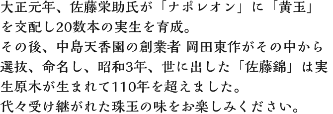 吳NAhui|IvɁuʁvz20{̎琬B̌AV̑nƎ c삪̒IAAa3NAɏouсv͎؂܂110N𒴂܂BX󂯌pꂽʂ̖y݂B