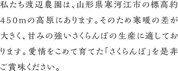 私たち渡辺農園は、山形県寒河江市の標高約450mの高原にあります。そのため寒暖の差が大きく、甘みの強いさくらんぼの生産に適しております。愛情をこめて育てた「さくらんぼ」を是非ご賞味ください。
