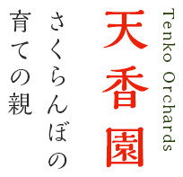 ڂ̈Ă̐e V Tenko Orchards