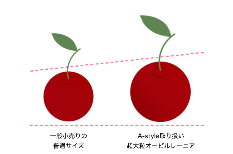 ʂɗʂĂAJ`F[̕WIȑ傫ɔׁAA-styleVbsOŔ̔̃I[r[jÁA嗱I嗱̃[jAɑ傫A喞̐H׉łB